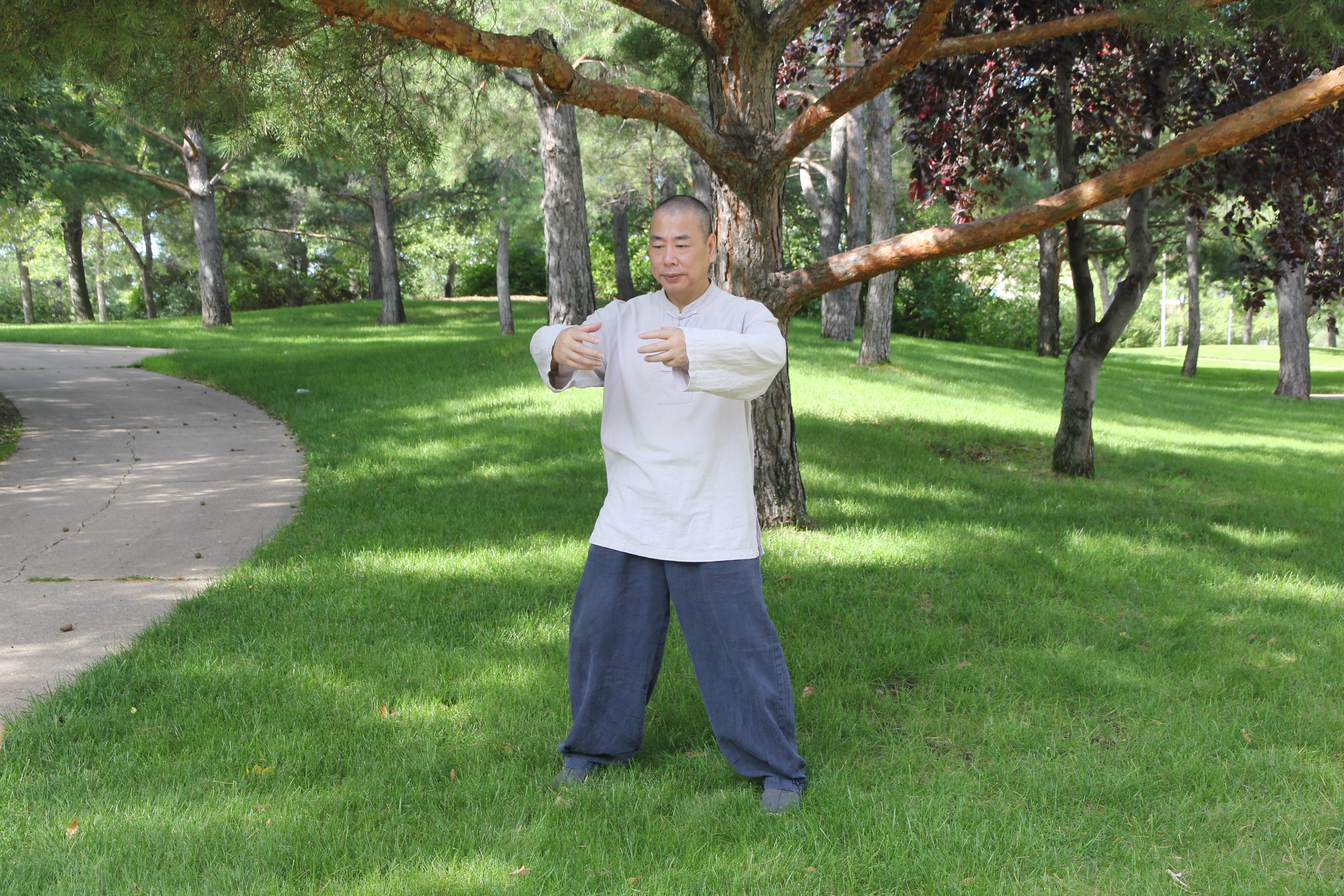 Tai Chi Master